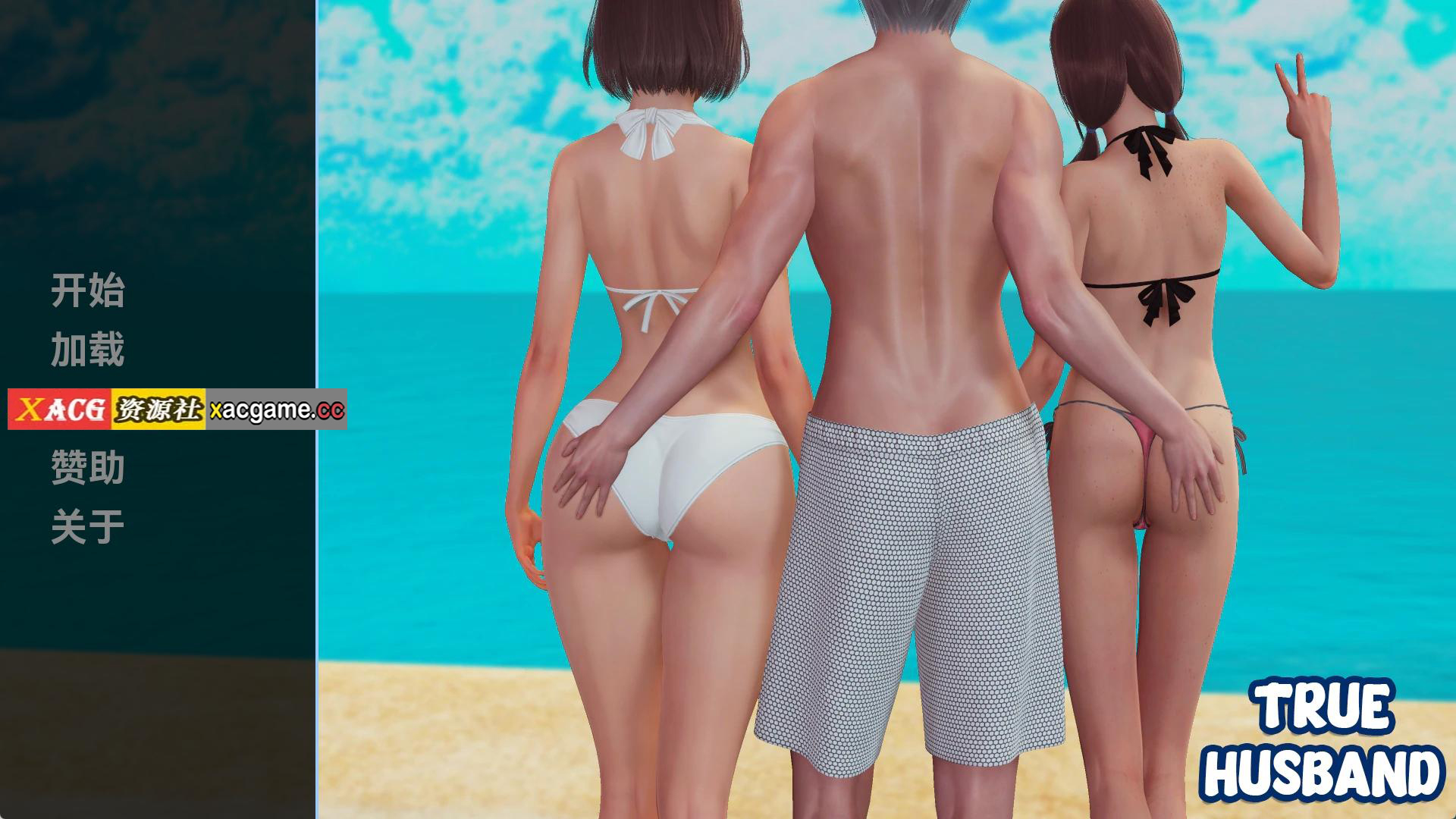 【PC+安卓+IOS/欧美SLG】真丈夫 True Husband v0.5【汉化/3D/4.14G】